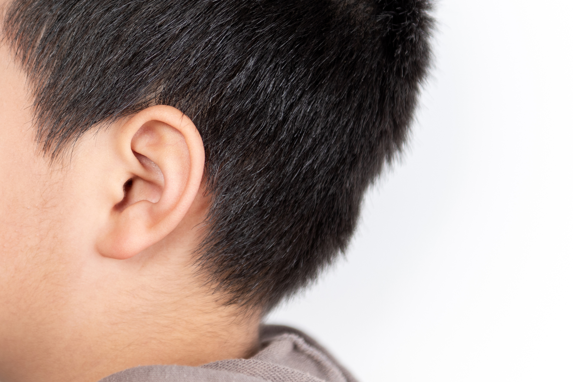 Pus in the Ear – featured image Pus in the Ear - featured image